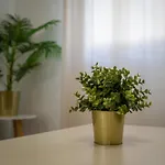 #002 Cozy Flat In Albufeira Central Stay * Αλμπουφέιρα