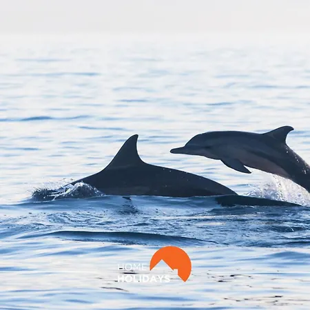 公寓 #002 Donalds Flat By Holidays *