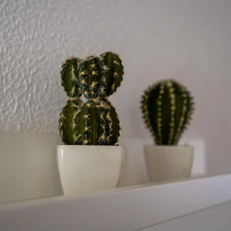 Apartamento #002 Cozy Flat In