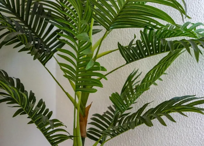 #002 Donalds Flat By Holidays *