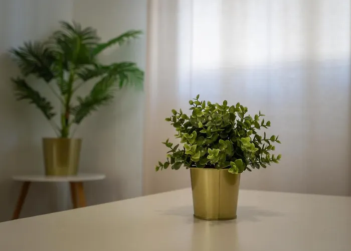 #002 Donalds Flat By Holidays * Αλμπουφέιρα