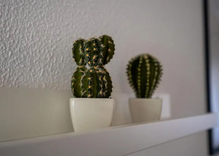 Διαμέρισμα #002 Donalds Flat By Holidays